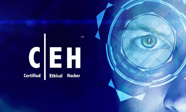 Certified Ethical Hacker (CEH) Training