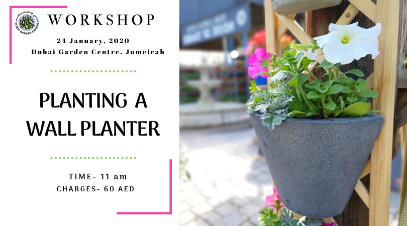 Wall Planter workshop